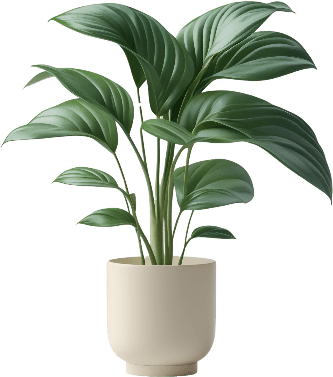 indoor-plant-1